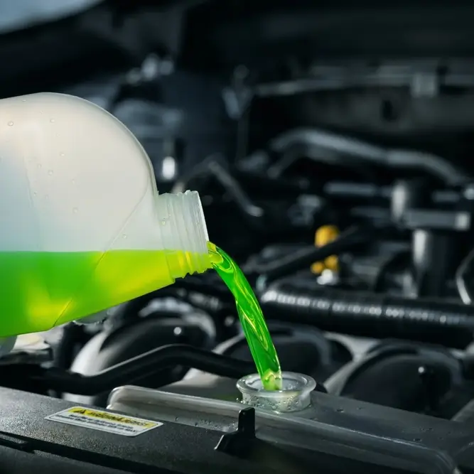 's auto services in lacey wa trust us for fast service